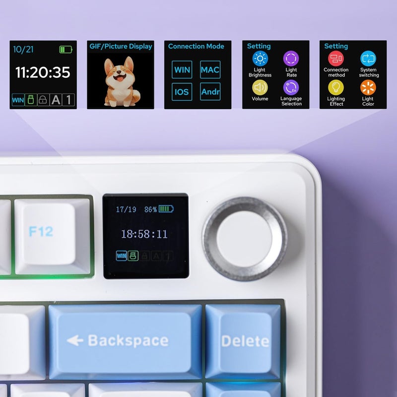 EPOMAKER X Aula F75 MAX Wireless Mechanical Keyboard with TFT Screen and Knob, Gasket Gaming Keyboard in 75% Layout, Hot Swappable, RGB Backlight, for PC/Mac/Linux (Blue&White&Purple) - Image 4